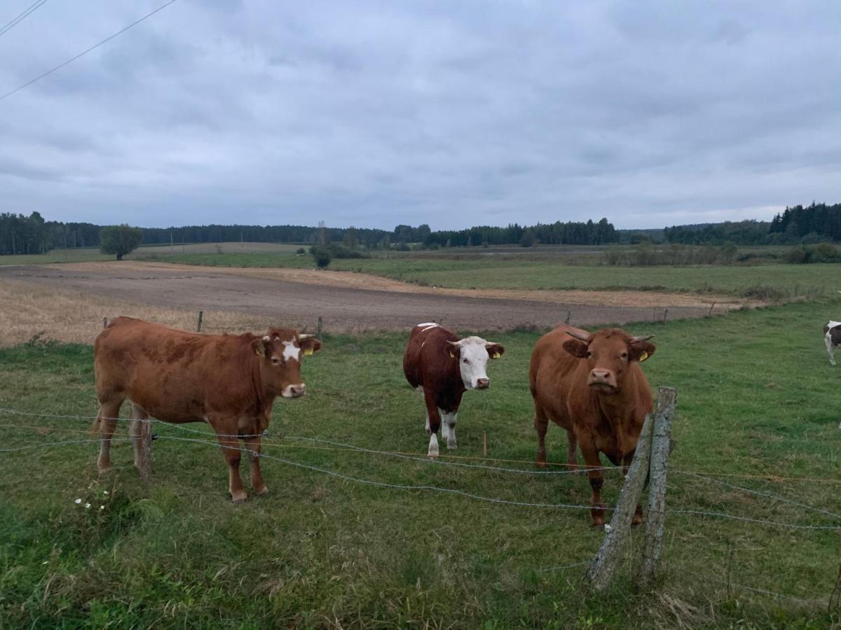 Gizycko-Przerwanki Domki Widok Na Mazury Exterior foto